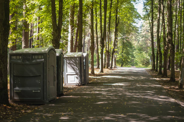 Best Luxury portable toilet rental  in Sanborn, IA