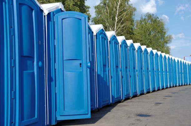 Best Affordable portable toilet rental  in Sanborn, IA